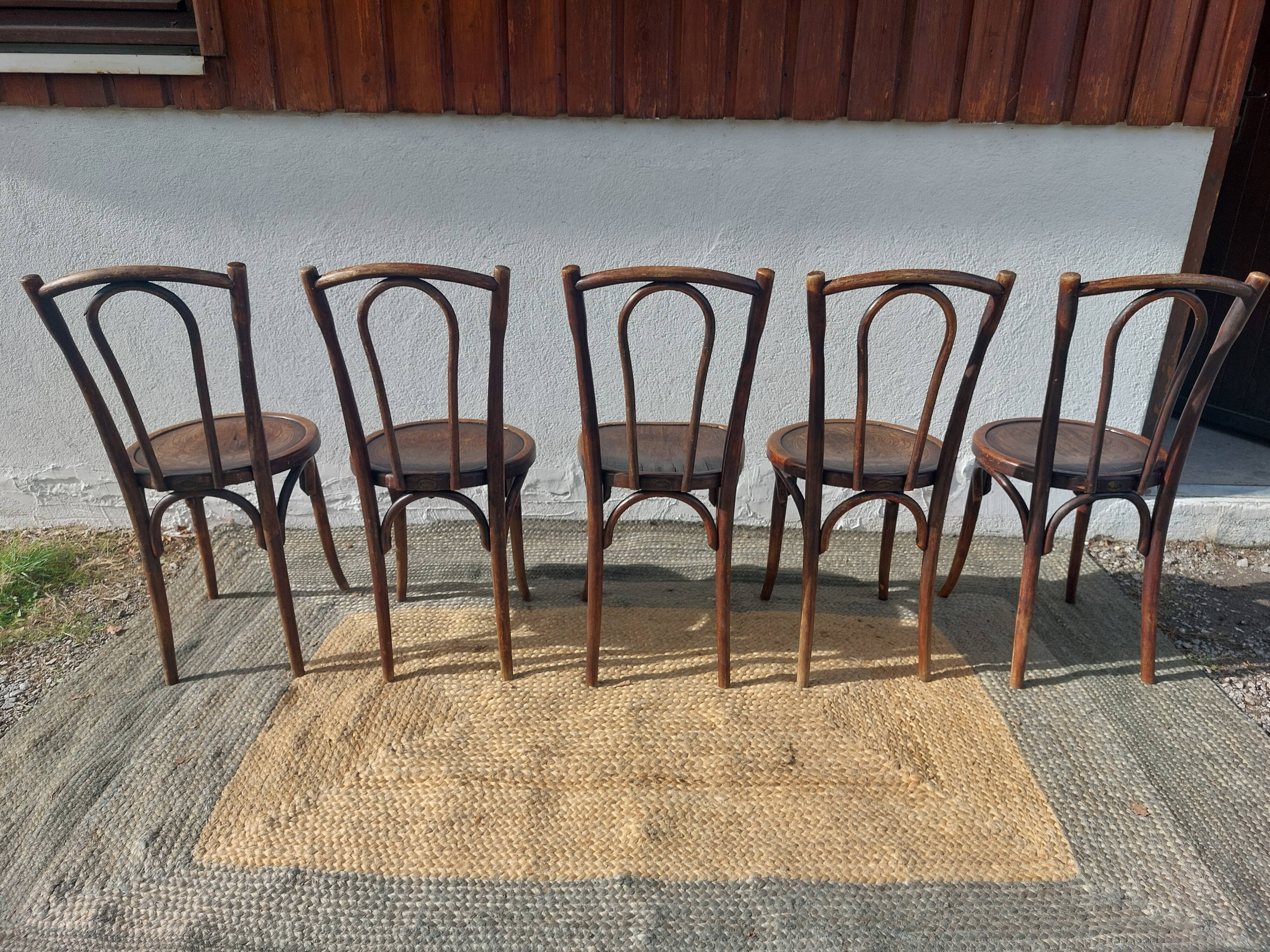 Set of 5 Buchon bistro chairs in curved wood