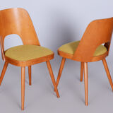 Ensemble de chaises en hêtre brun et jaune du milieu du siècle Oswald Haerdtl années 1950 Tchéquie