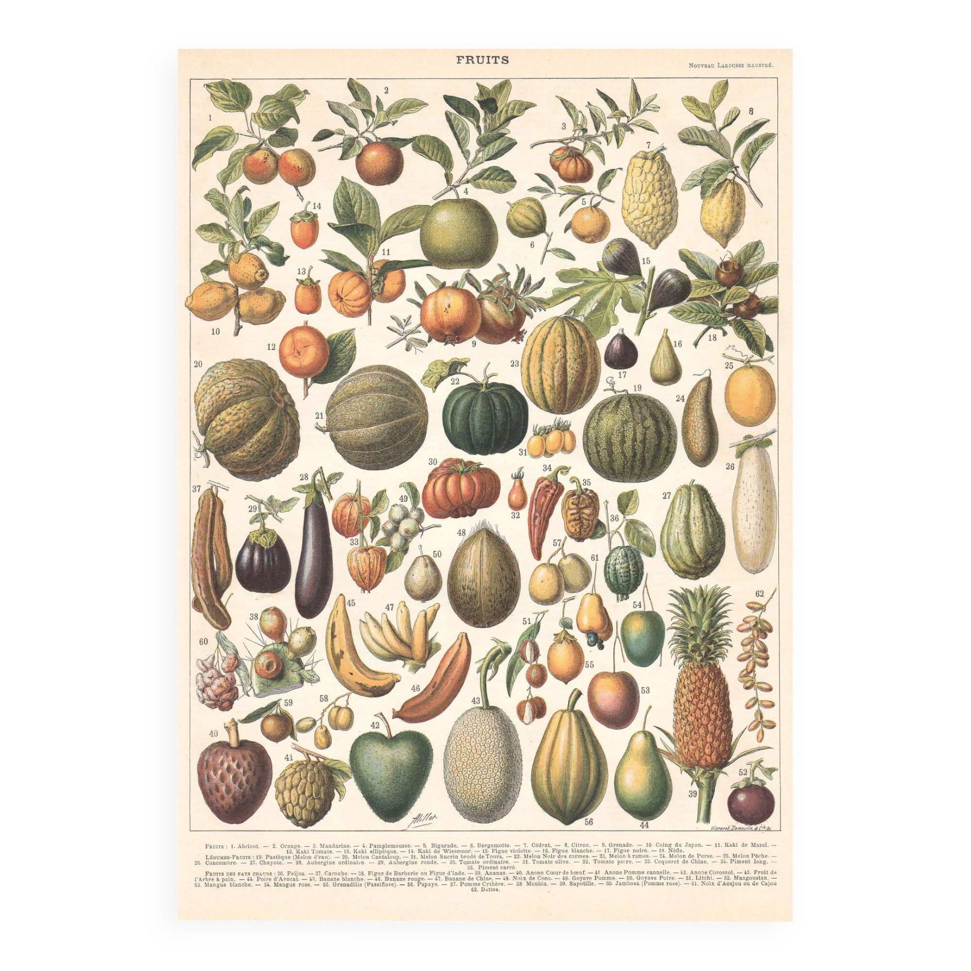 Old plate on fruits 1897