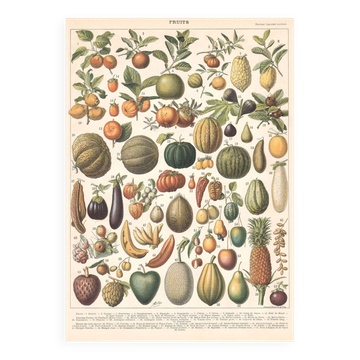 Old plate on fruits 1897