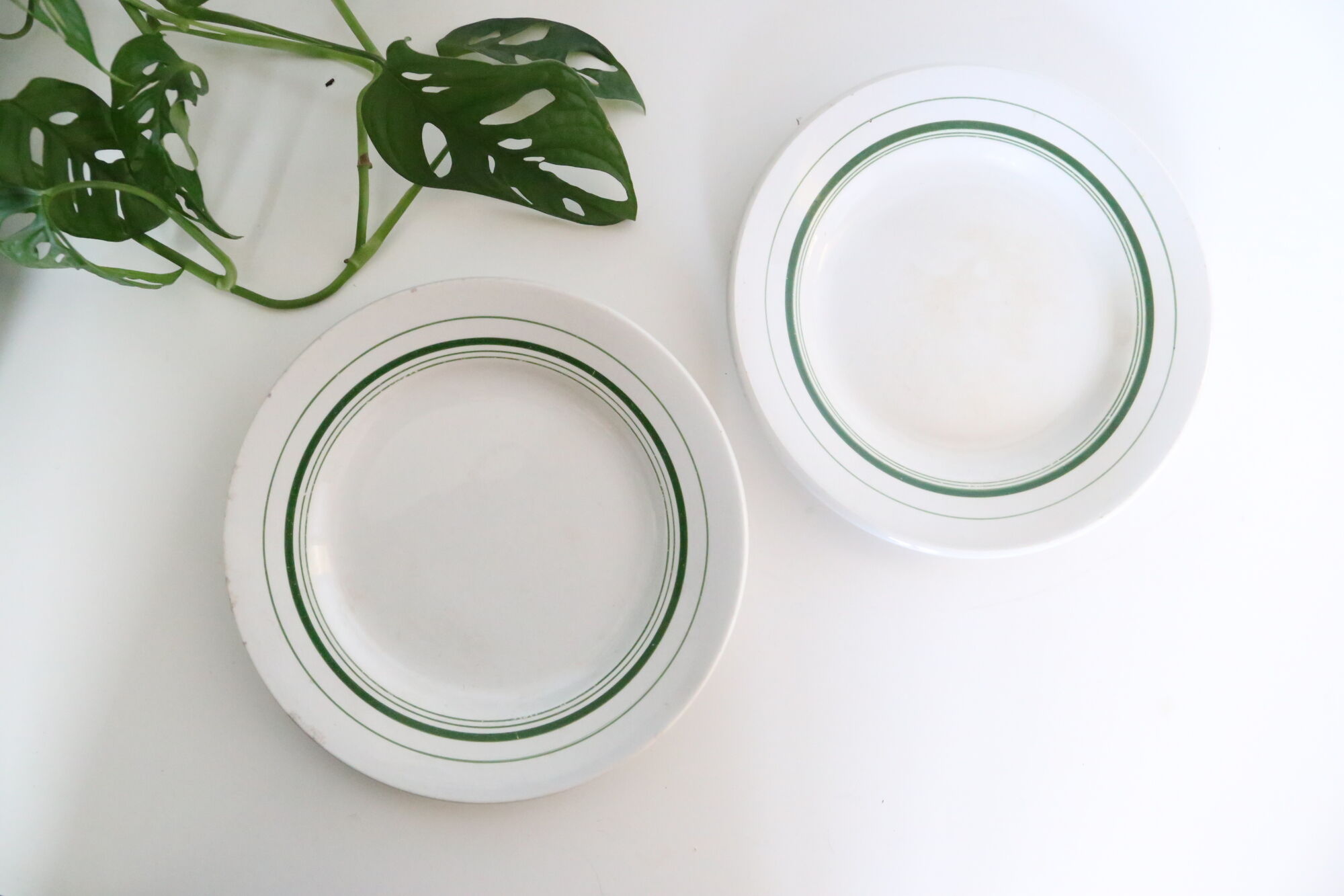 Set of 4 mouin des Loups plate, green motif, French vintage, rustic, countryside
