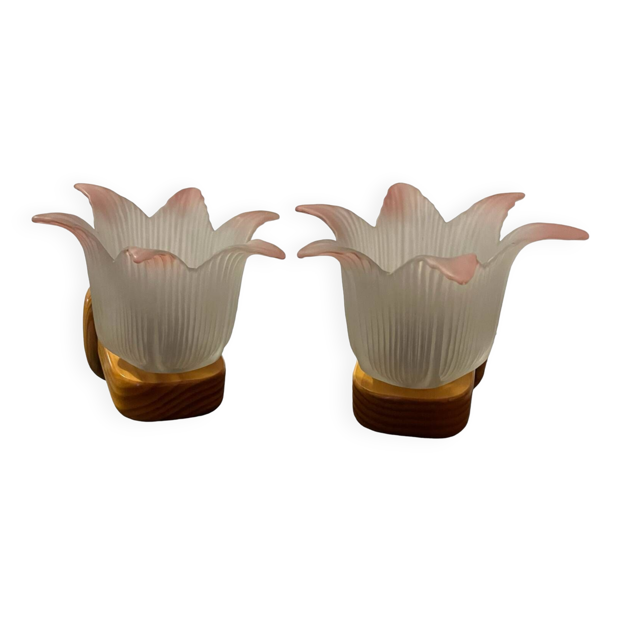 Pair of glass flower pine wall lights