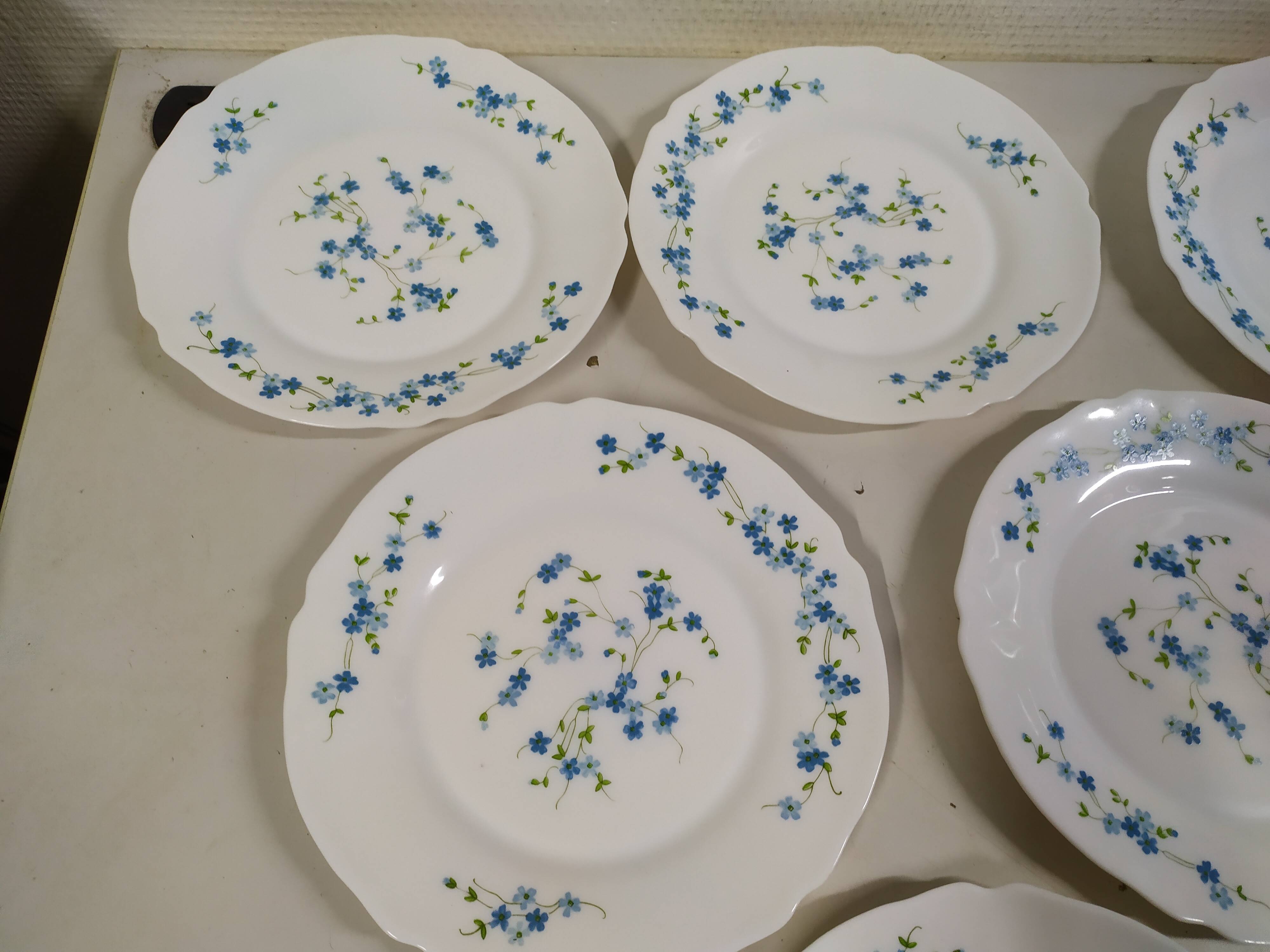 Lot de 6 assiettes plate Arcopal Véronica Myosotis fleur bleu vintage