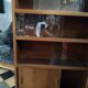 Bookshelf from the 50s/60s