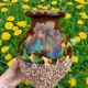 Contemporary ceramic vase decor