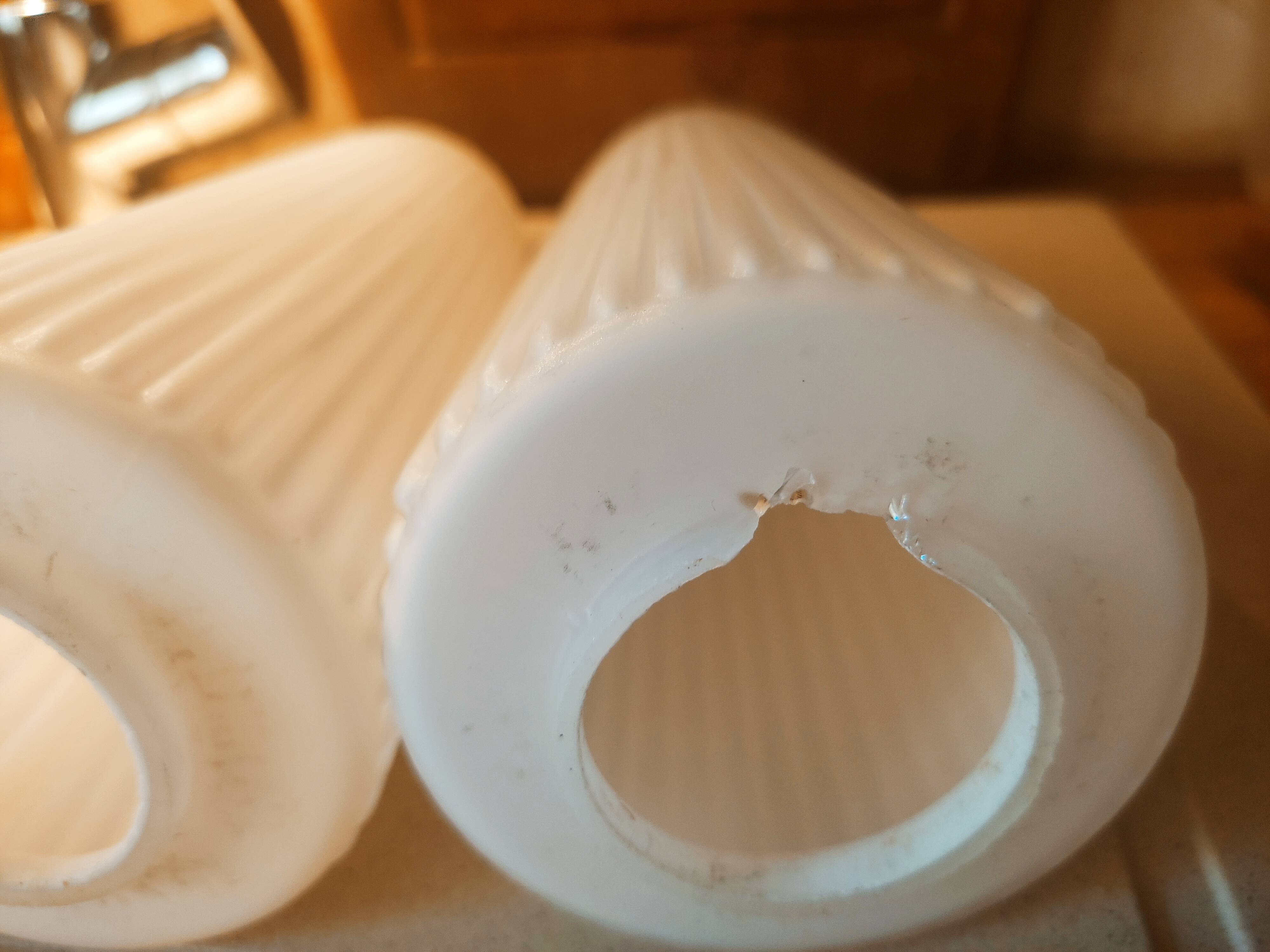 Striated opaline tulips