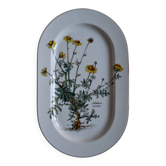 Villeroy & boch botanica grand plat de service ovale 33 / 20 cm