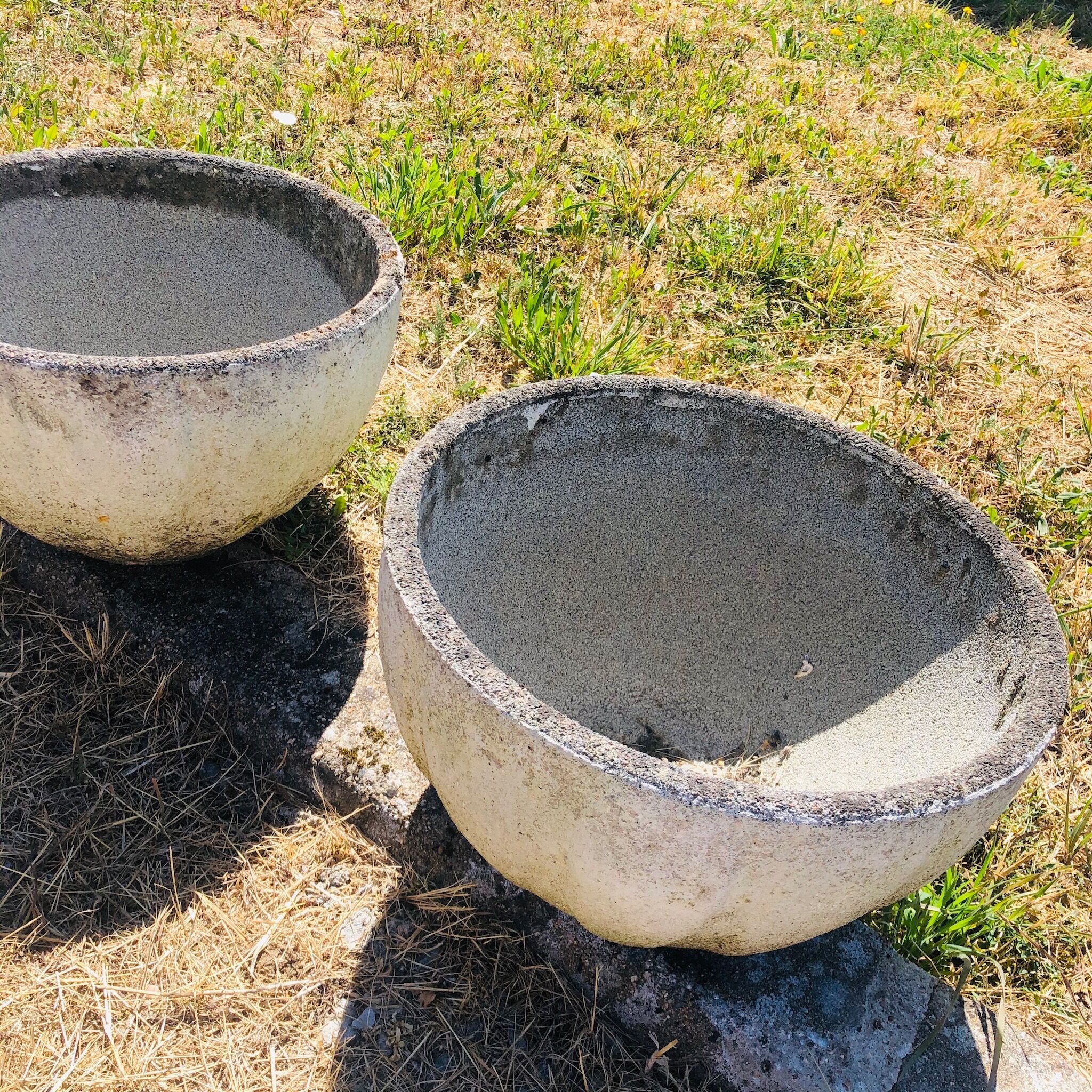 Concrete planter