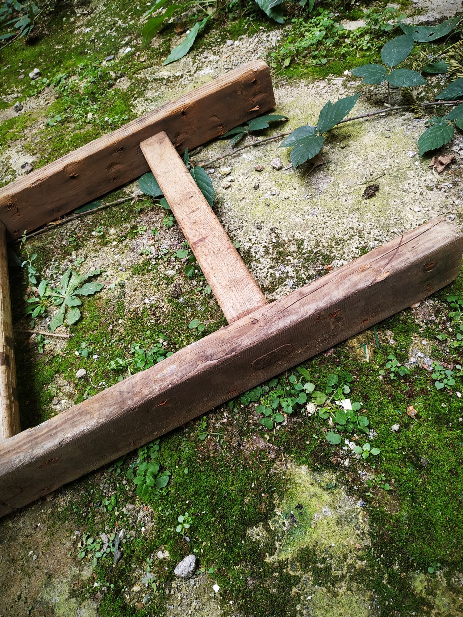 Old Cognet scale 321 cm