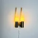 Brass Coloured Double Wall Lamp By Hans-Agne Jakobsson For Markaryd, Sweden, 1960S