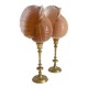 Pair of natural shells on a mid-century Swedish Skultuna brass candelabrum.