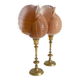 Paire de coquillages naturels sur un candélabre en laiton Skultuna du milieu du siècle suédois.