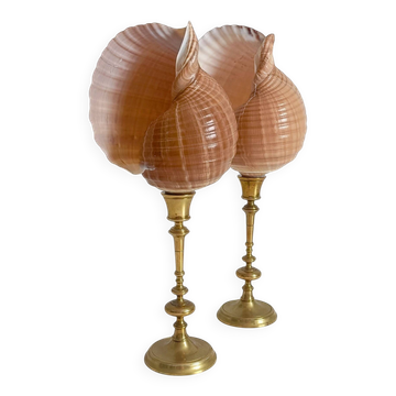 Pair of natural shells on a mid-century Swedish Skultuna brass candelabrum.