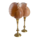 Pair of natural shells on a mid-century Swedish Skultuna brass candelabrum.