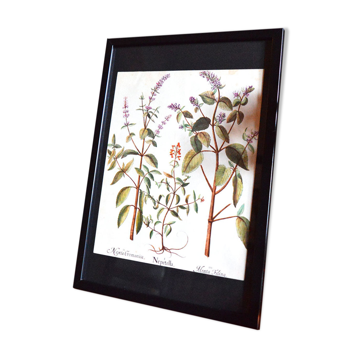 Framed pharmaceutical board