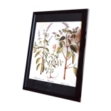 Framed pharmaceutical board