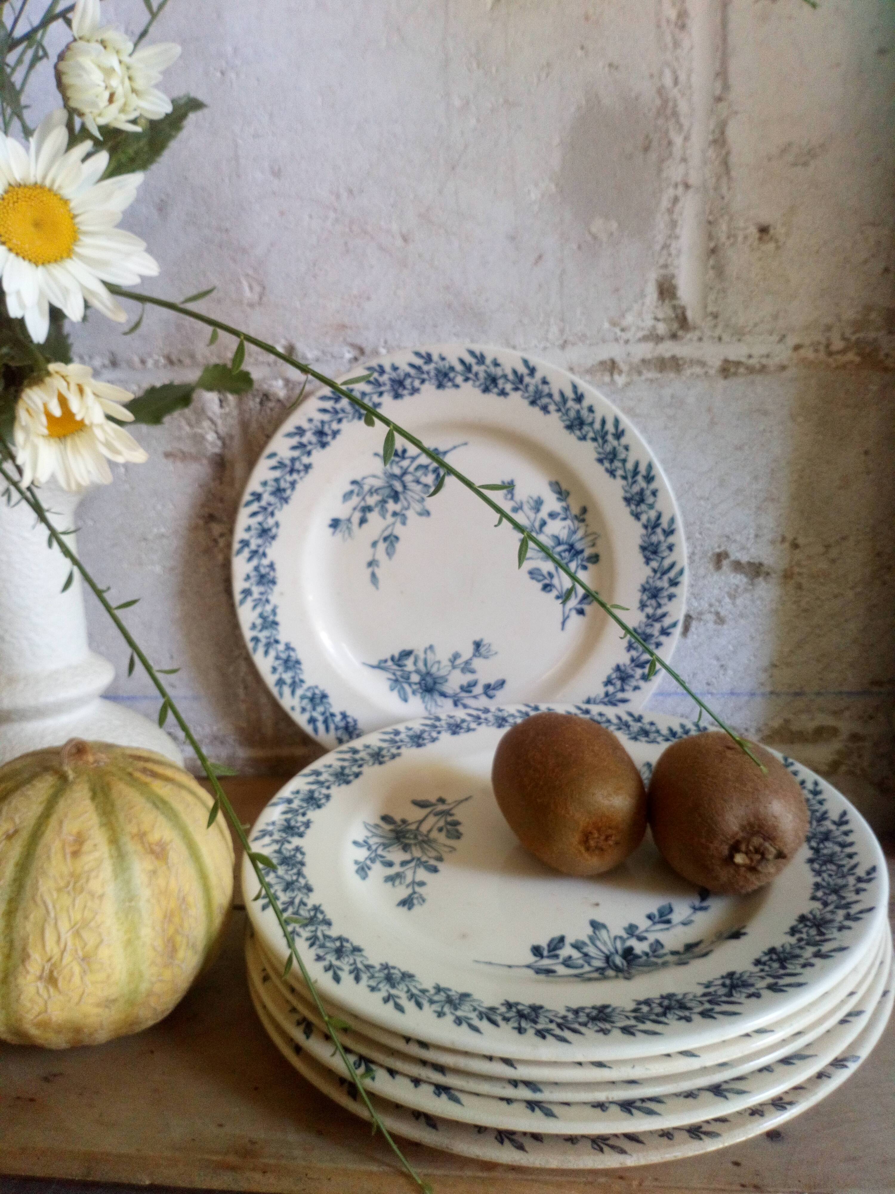 Six old plates made of lednéville iron soil from the "paquerette" sevice