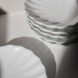 White shell cup
