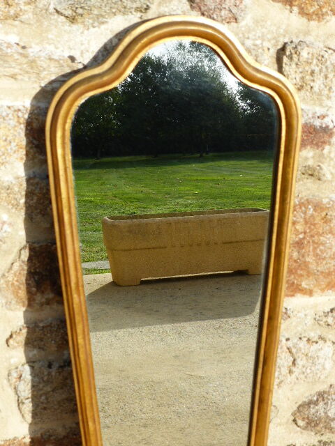 Vertical mirror 60 33x100cm