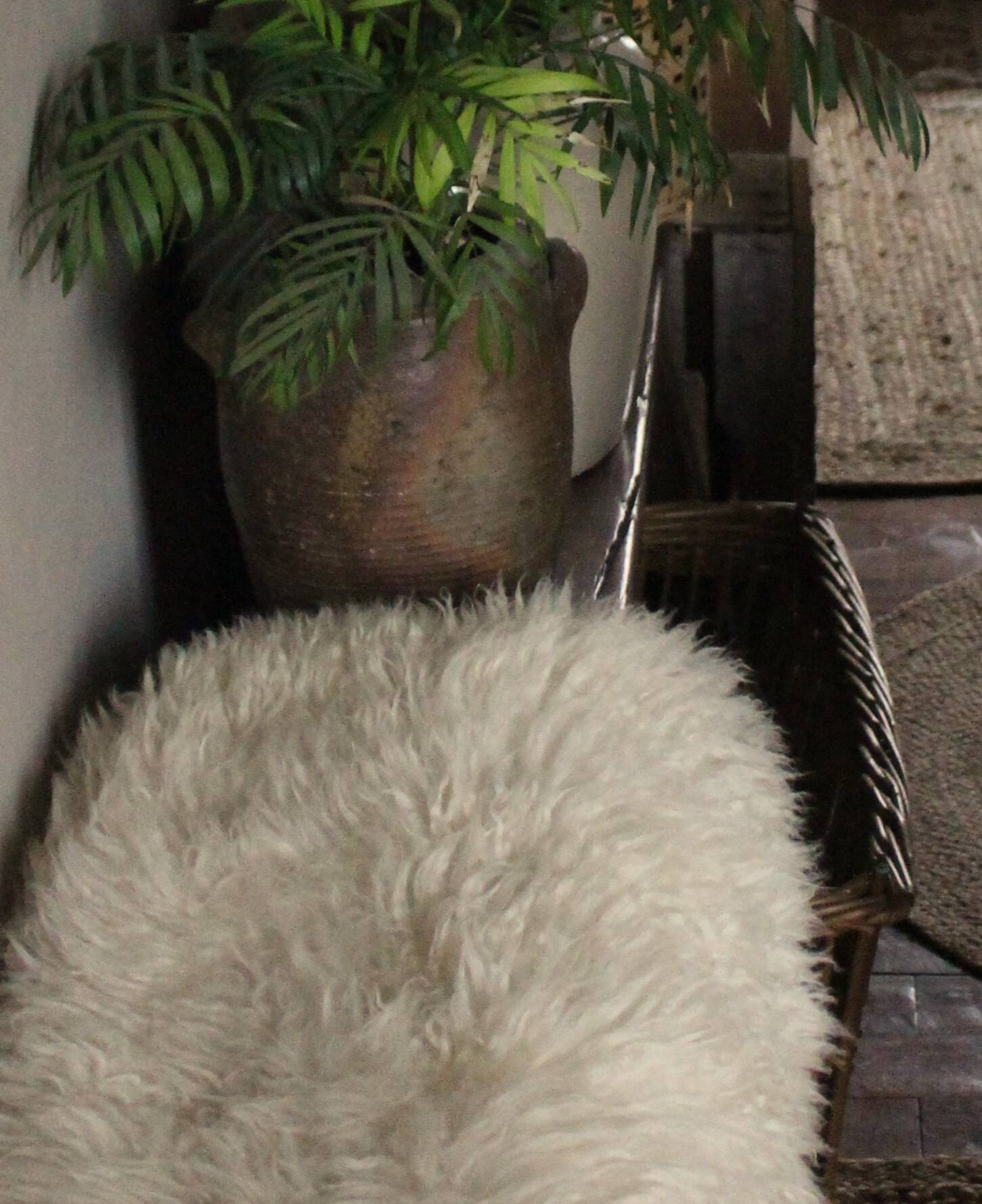 Vase Terracotta pot two handles handcrafted