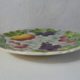 Dish slurry Saint Clement cake dish