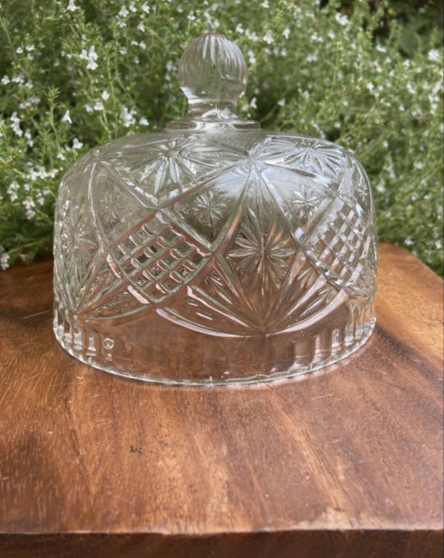 Pressed and moulded glass cheese dome