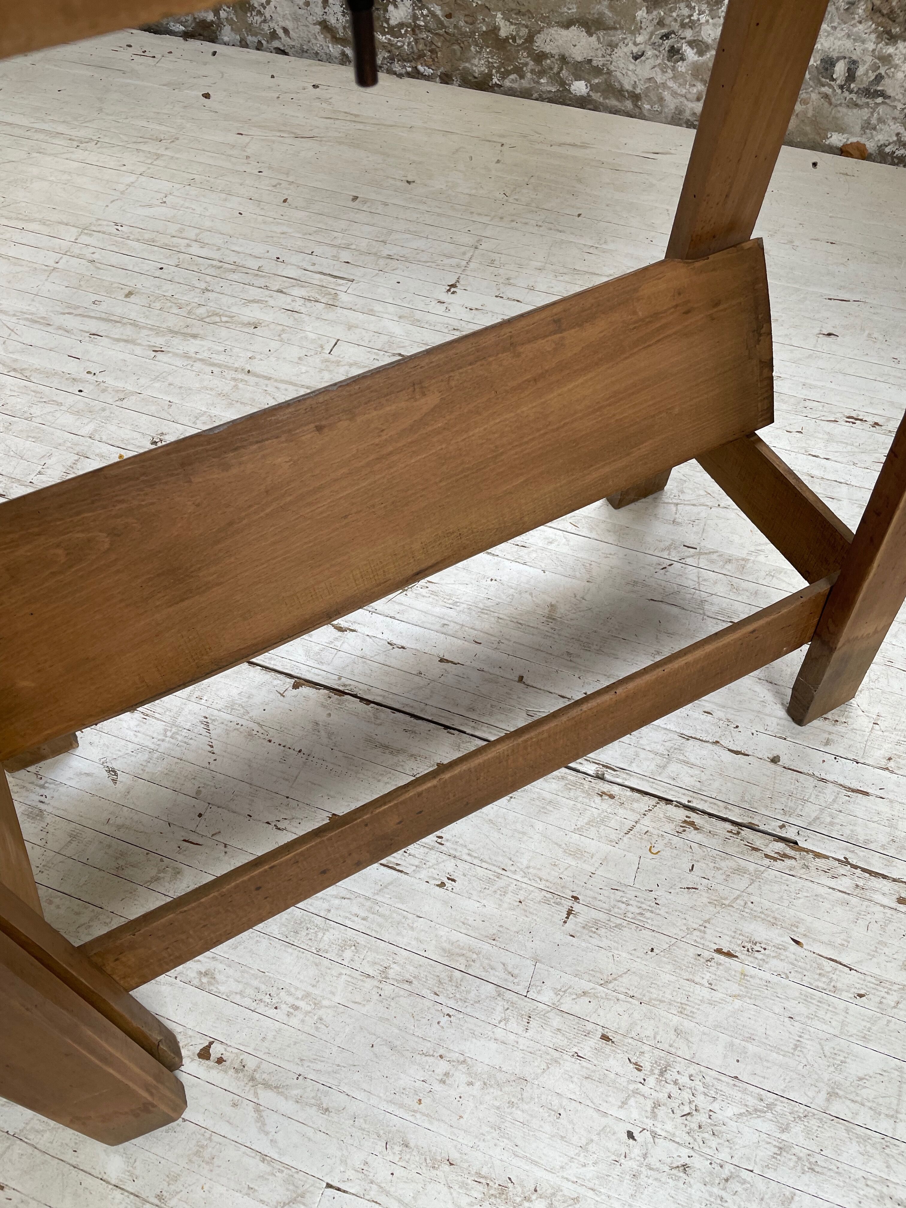 Established XS in cherry tree