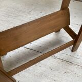 Established XS in cherry tree