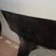 Paire de chaises Nicolle "queue de baleine"