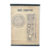 Vintage botanical poster wall board 1970's hand made pharmaceutical university