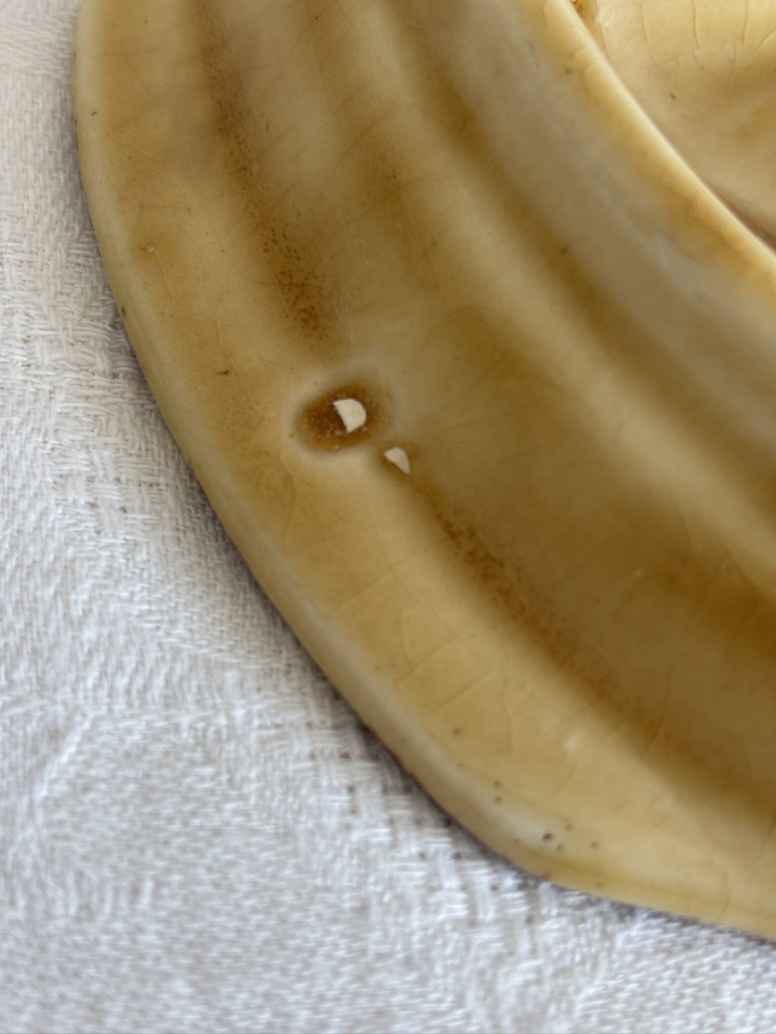 Set of 8 antique snail plates - Gien porcelain France