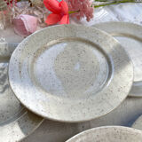 Lot de 6 assiettes en grès gris moucheté 1970