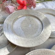 Set of 6 speckled grey stoneware plates 1970