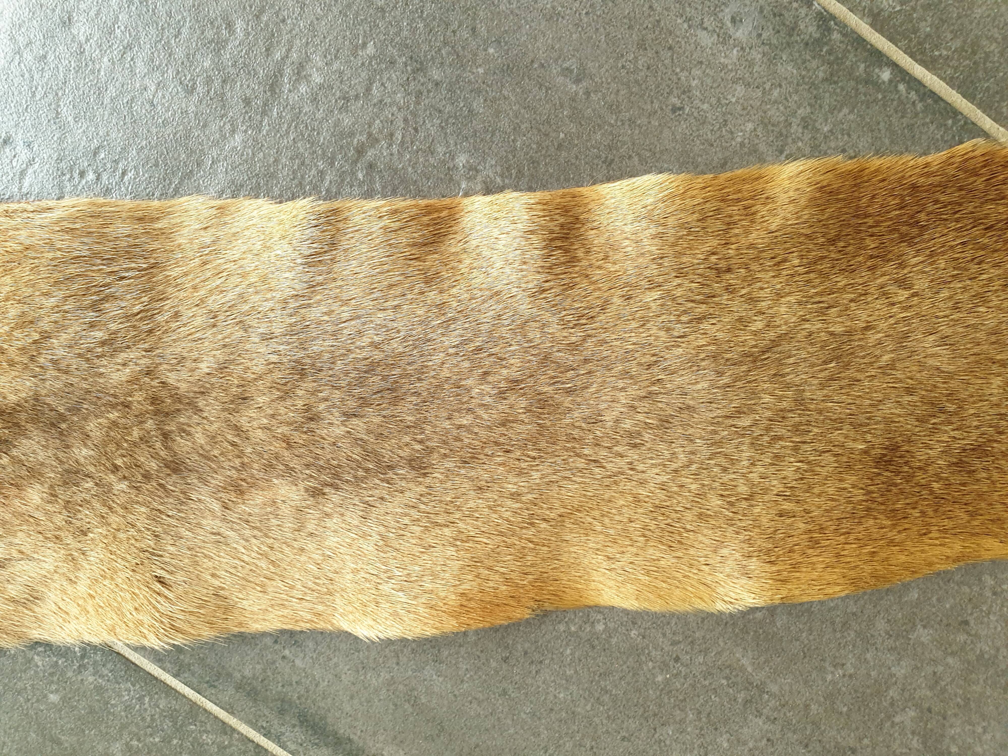 Kangaroo skin