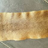 Kangaroo skin