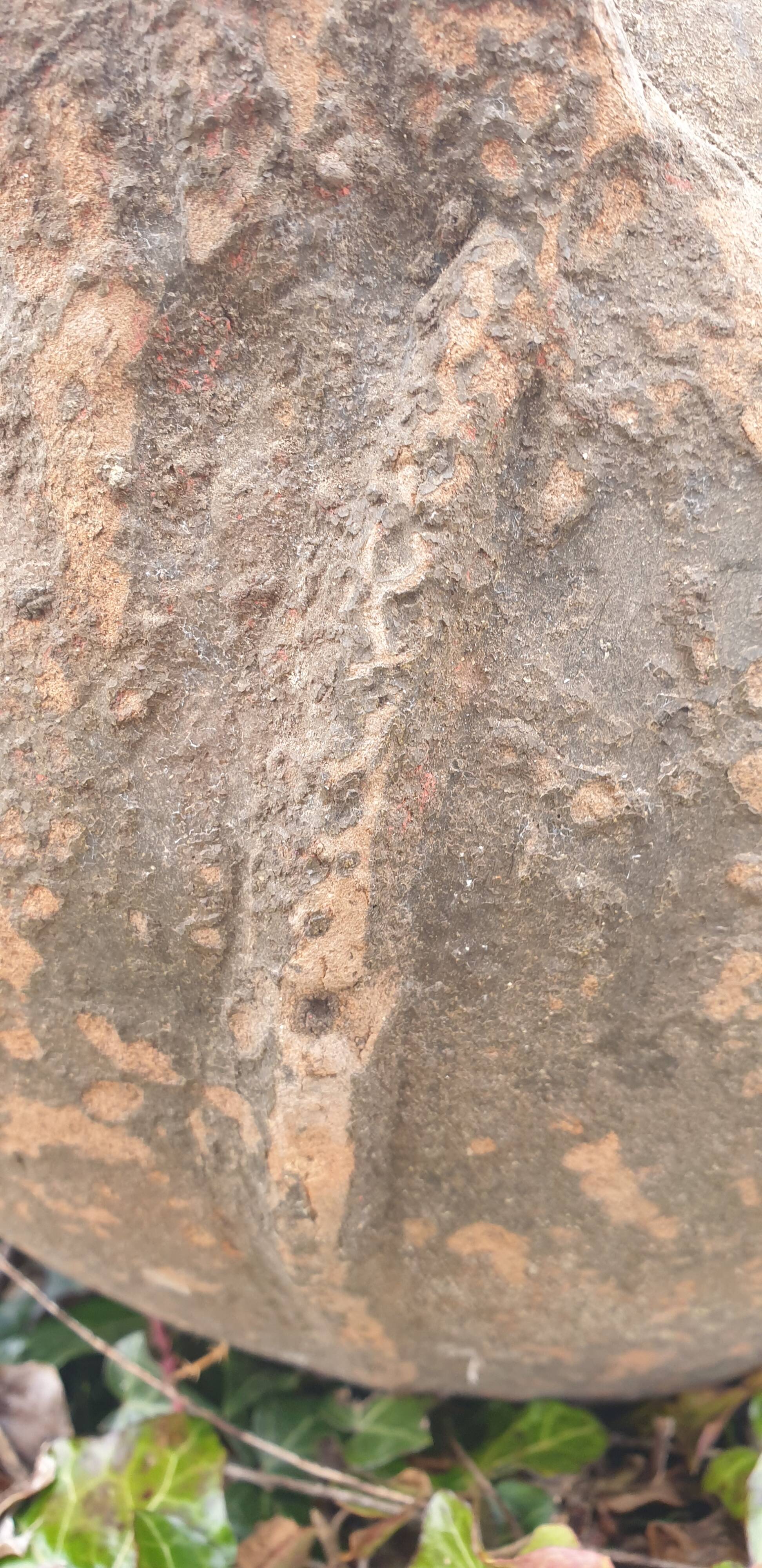 Quercy Jug for Walnut Oil - 18th Century