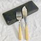 Antique Victorian fish serving cutlery, bone and silver-plated metal