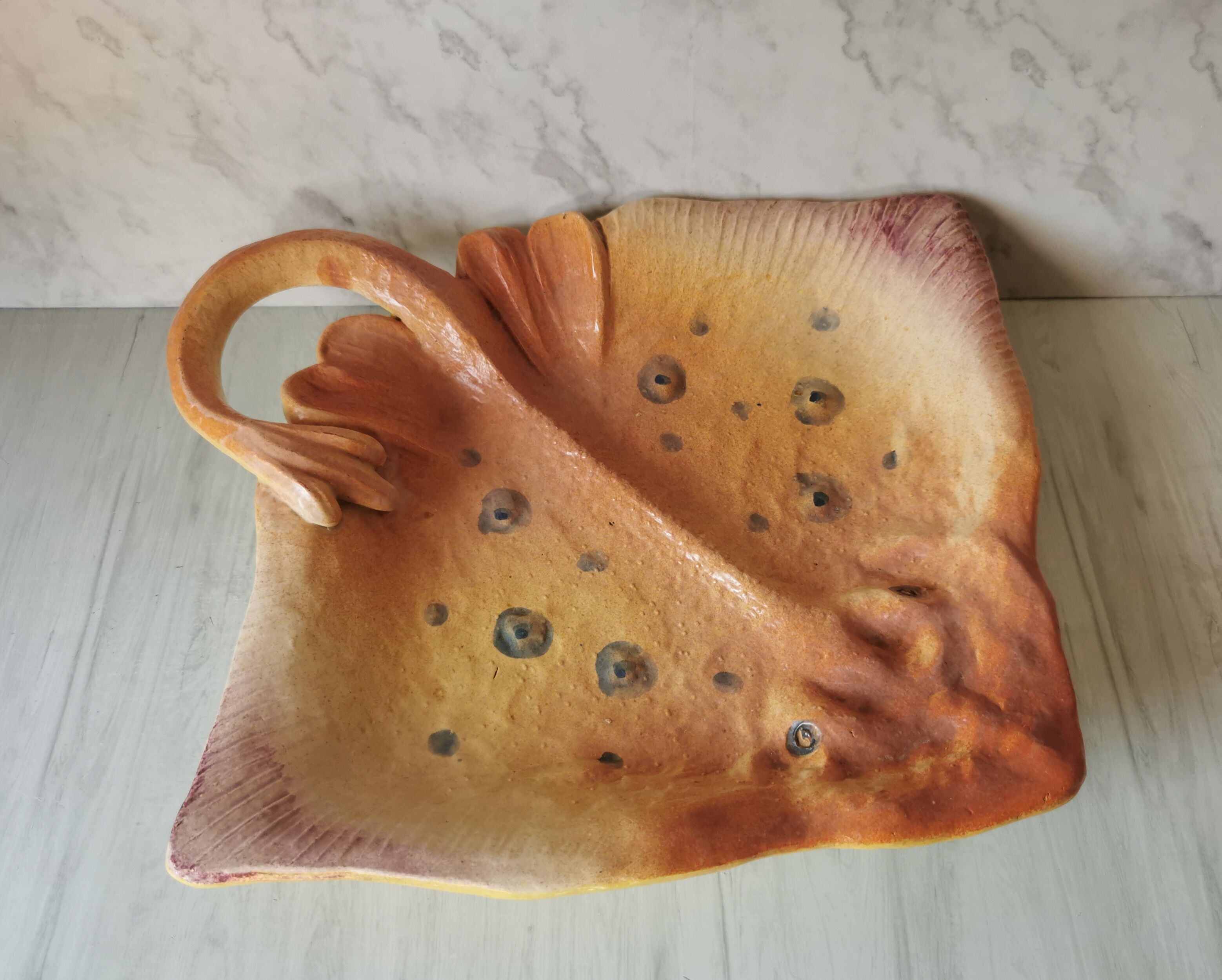Zoomorphic dish ray
