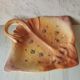 Zoomorphic dish ray