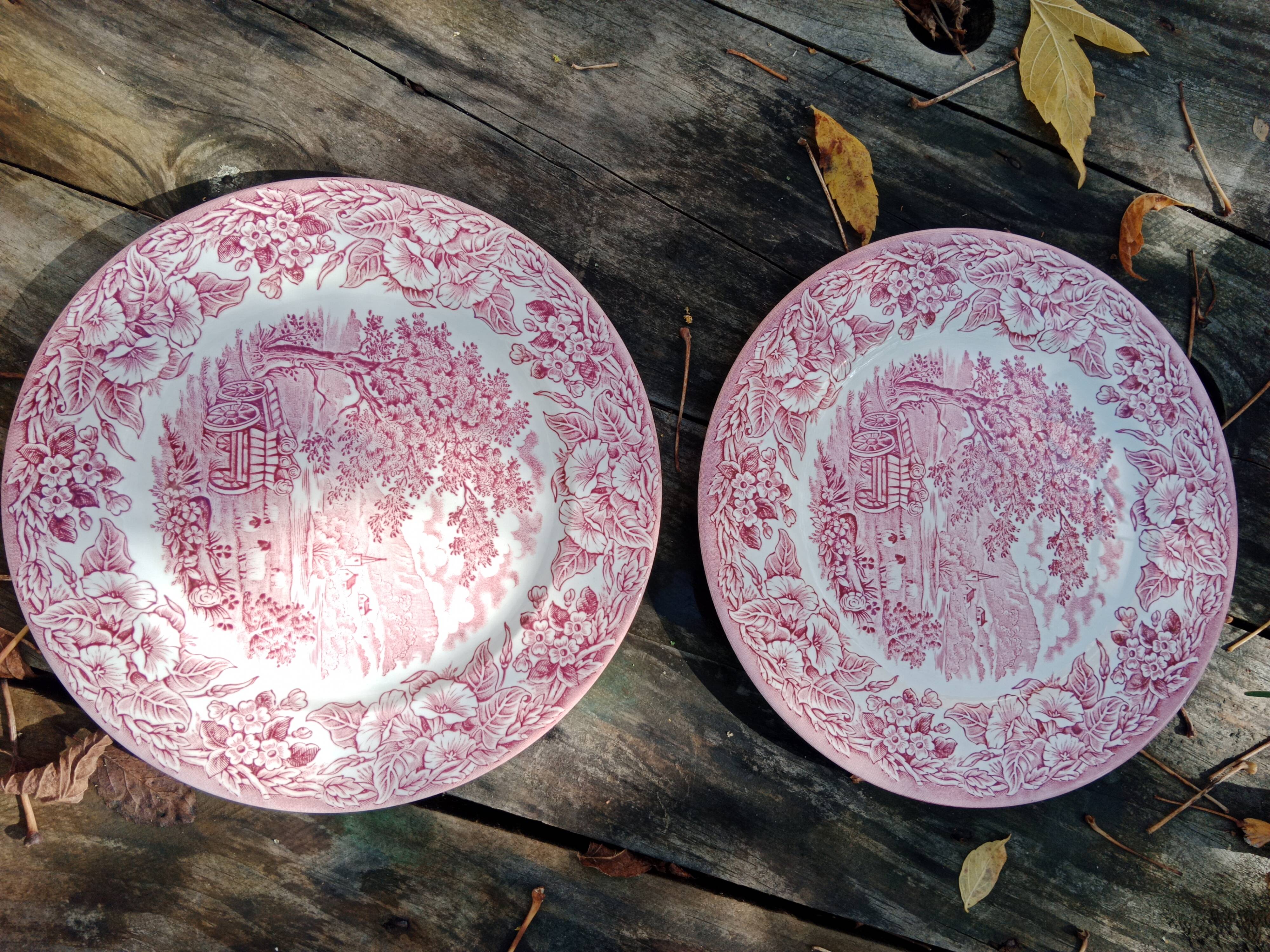 2 assiettes plates eit england