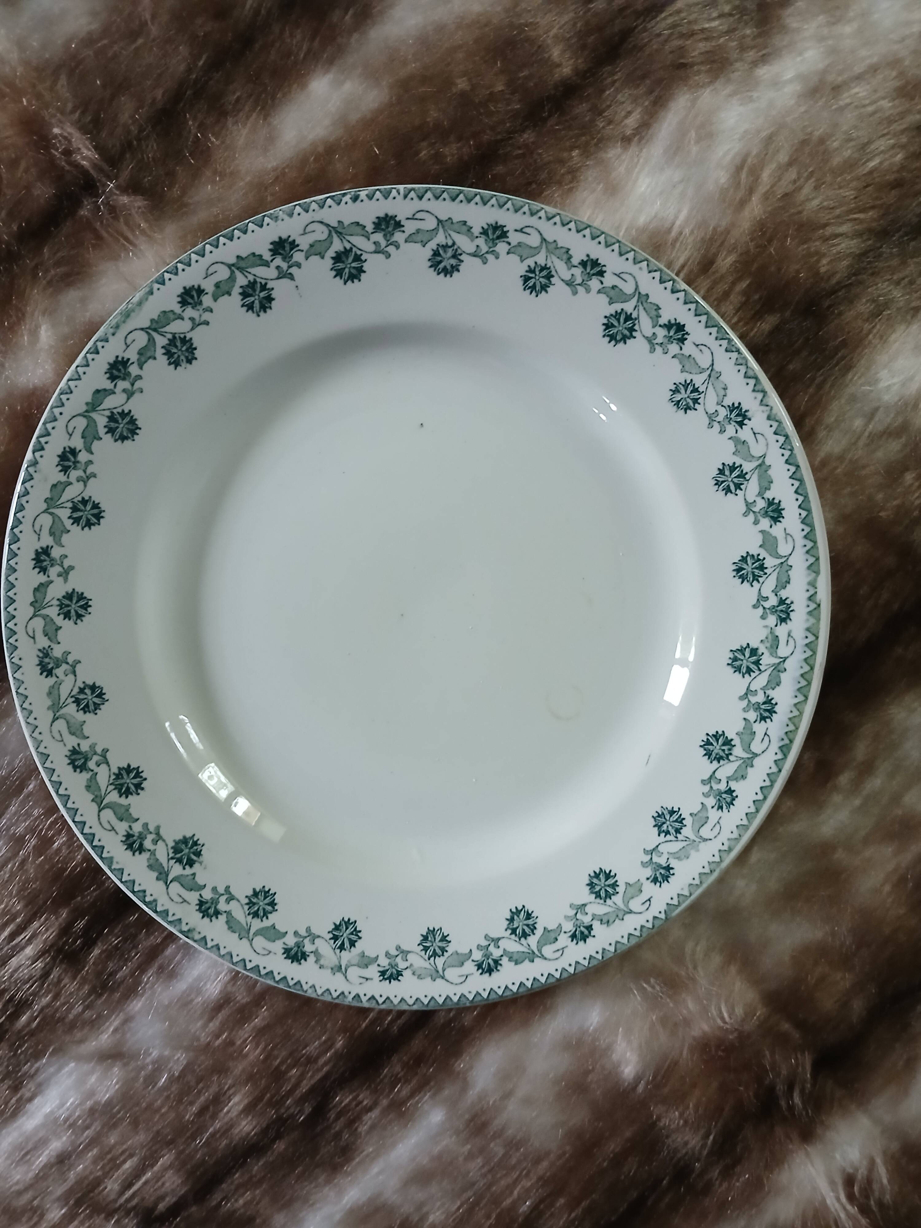 10 assiettes plates anciennes en Terre de fer