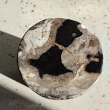 Side table in petrified wood