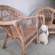 Paire de fauteuils en rotin enfant