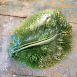 Empty cabbage leaf pocket