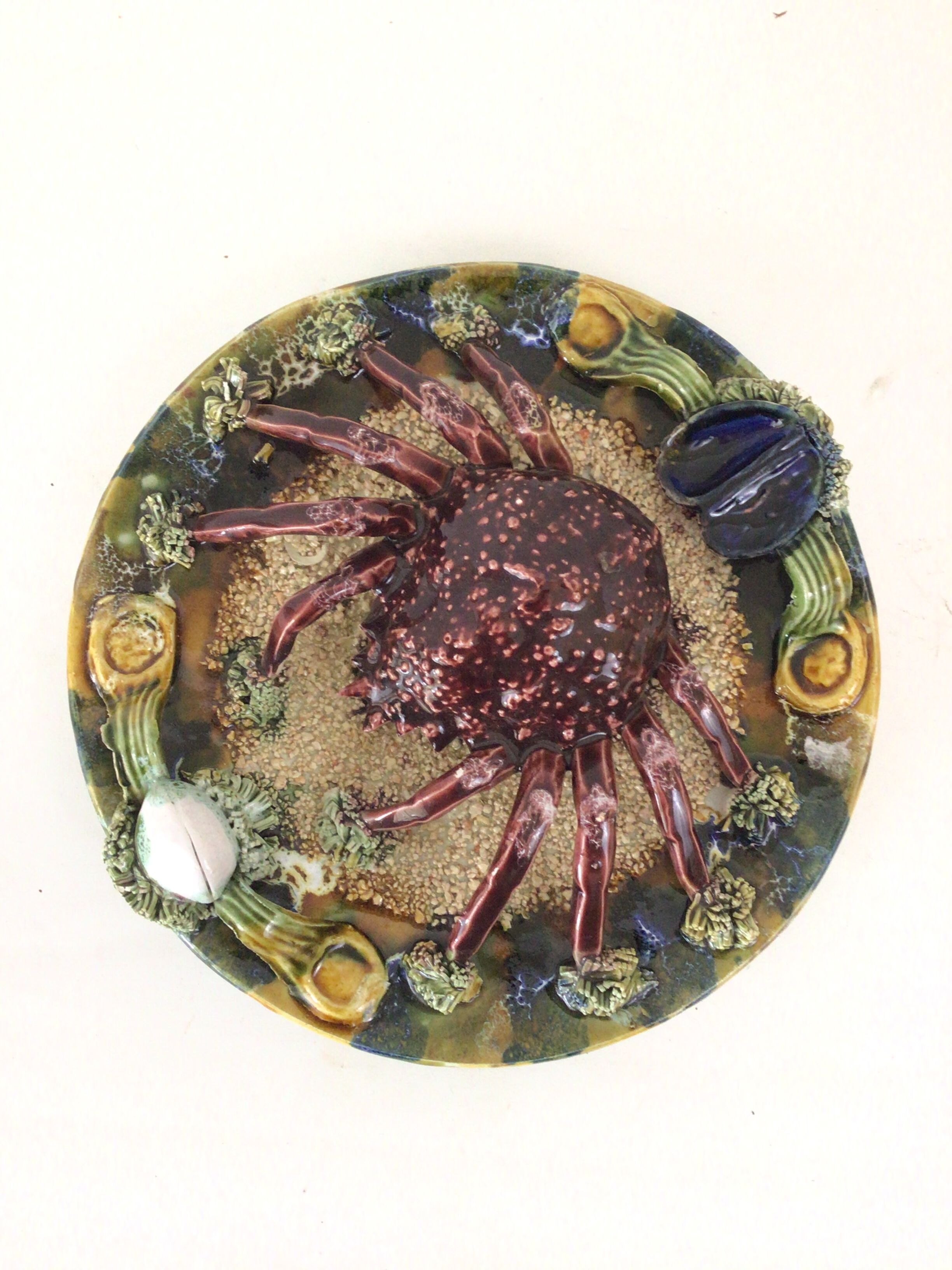 Naturalistic plate Spider earthenware of Caldas