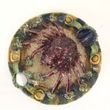 Naturalistic plate Spider earthenware of Caldas