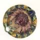 Naturalistic plate Spider earthenware of Caldas
