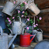 Zinc watering can