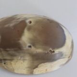 Natural horn bowl/empty-pocket