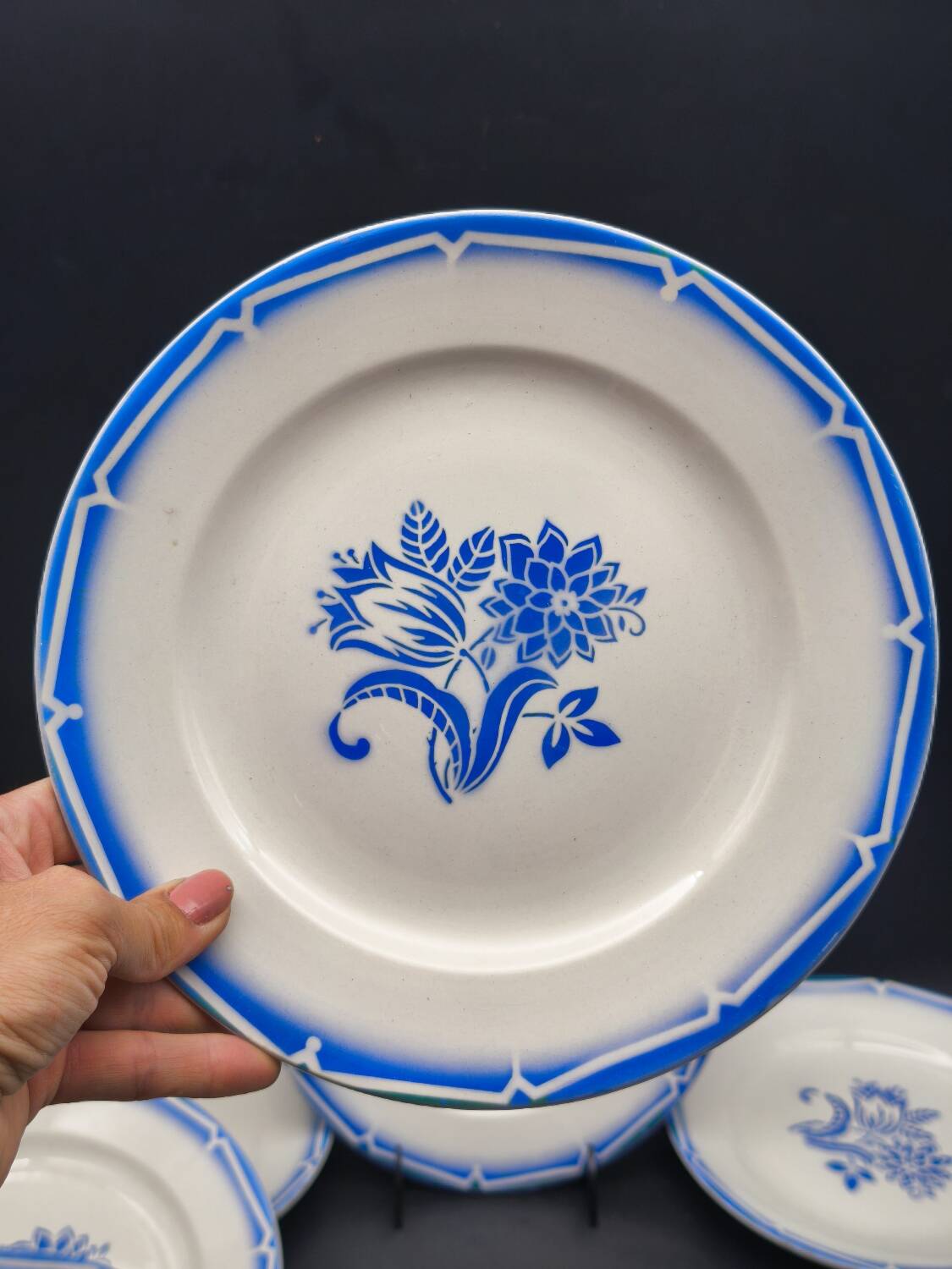 12 Canebière dinner plates